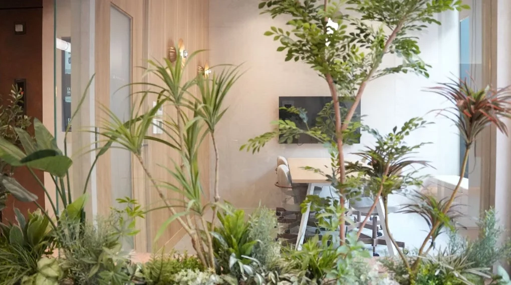 観葉植物が豊富に配置されたモダンなオフィス空間