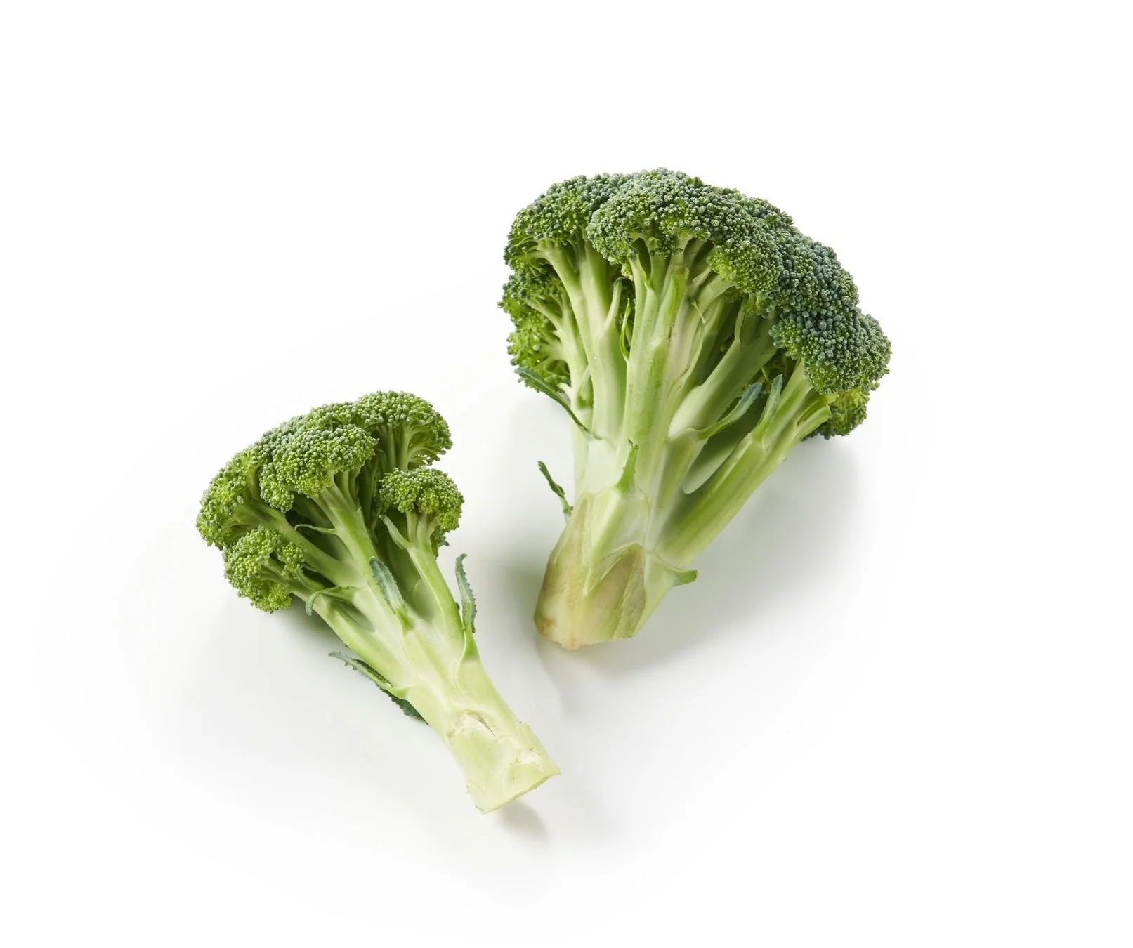 白い背景に置かれた、鮮やかな緑色の新鮮なブロッコリーが2つ写っています。