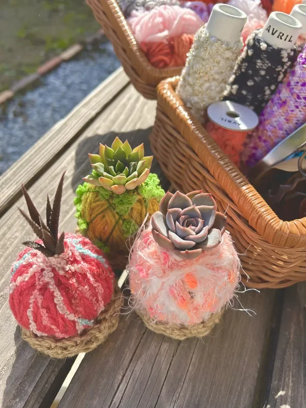 毛糸などで作られた多肉植物やサボテンのフェイクグリーン