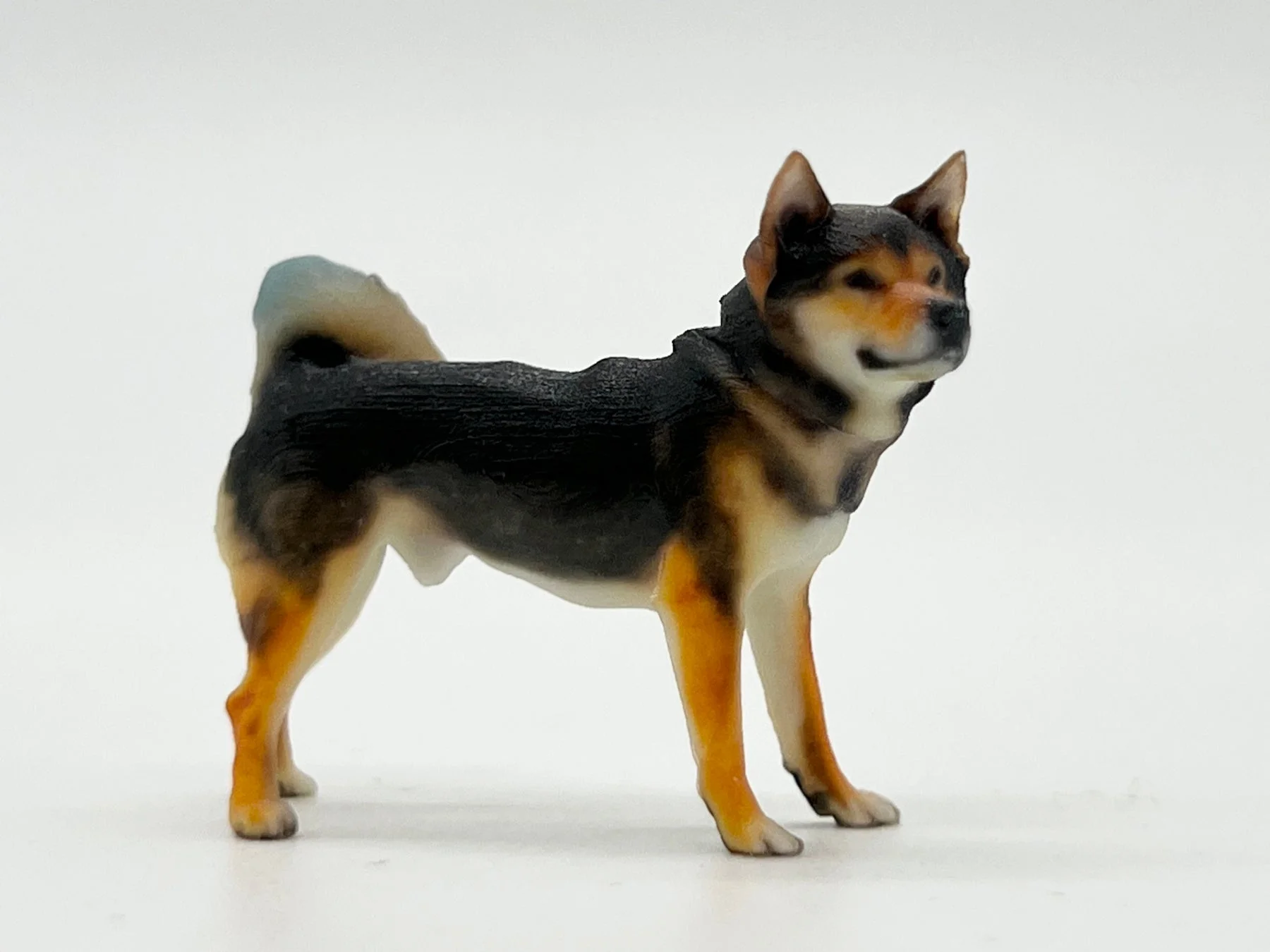 白い背景に立つ、黒と茶色の毛並みが特徴の柴犬のフィギュア