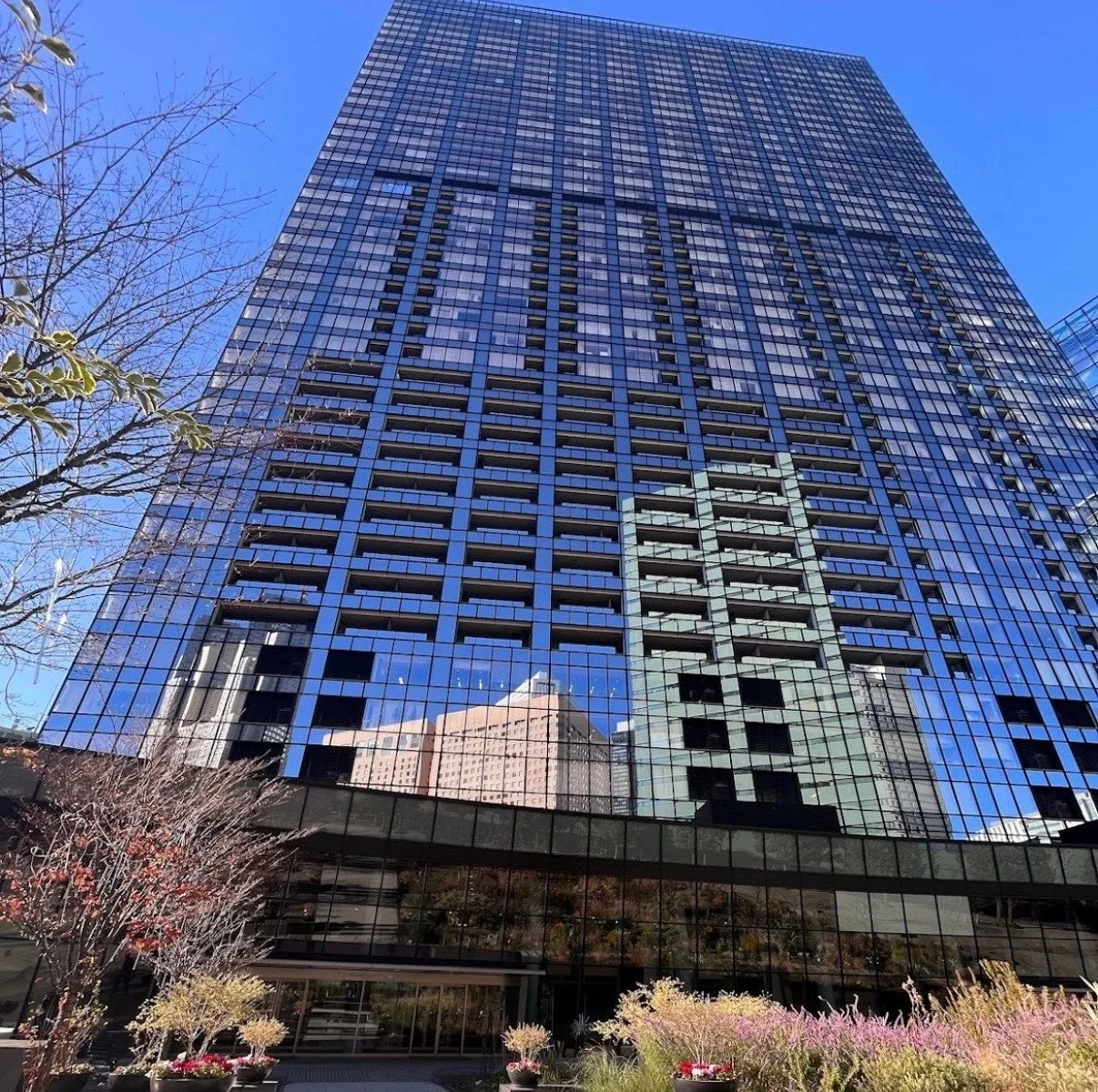 高層ビルが立ち並ぶ現代的な都市景観