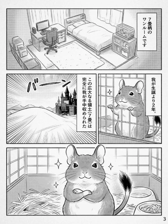 7畳柄のワンルームです 我が生誕より2年。この広大なる領土(7畳)は完全に我が手中められた 3