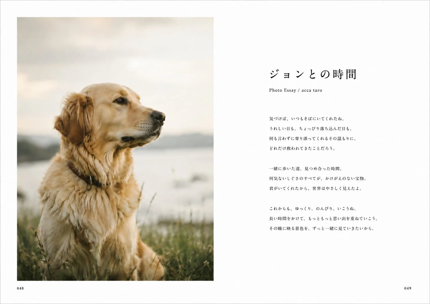 うちのこフォトエッセイのページ
