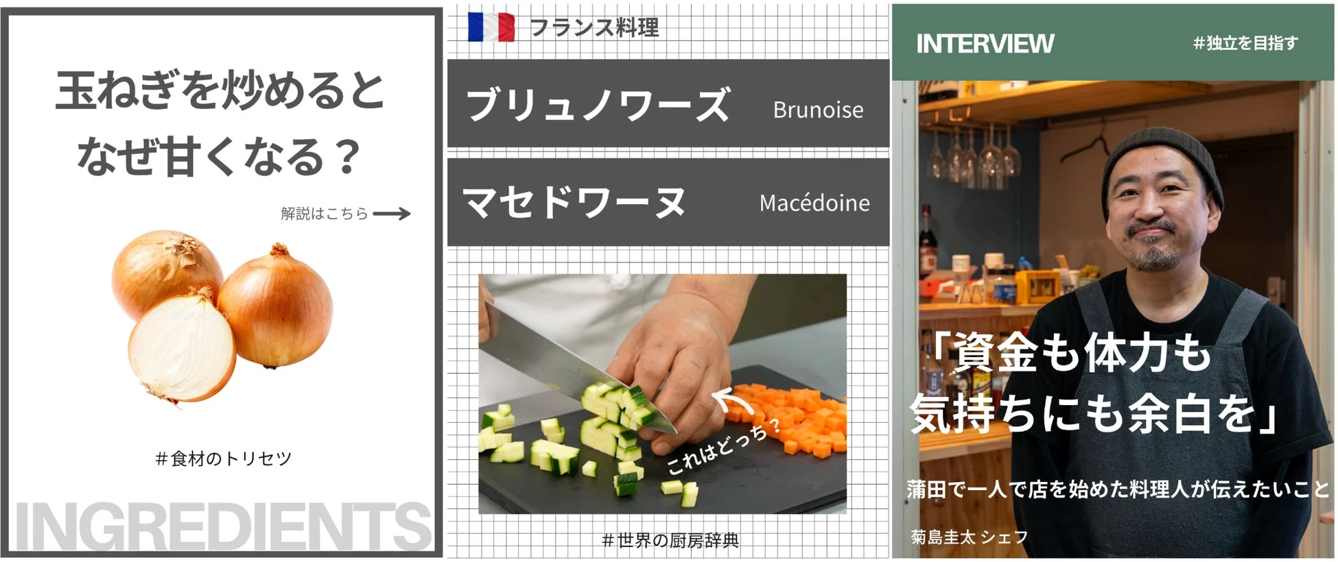 料理に関する情報コンテンツの例