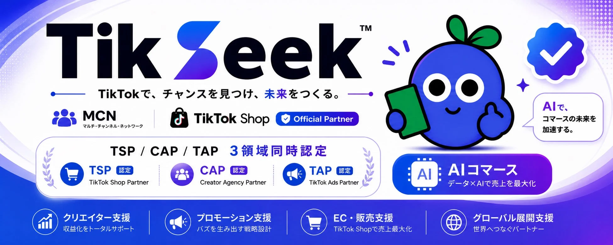 TikSeekの事業概要と今後の展開